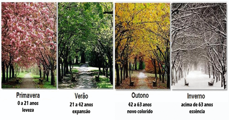 FLORESCENDO EM QUALQUER ESTAÇÃO - Recomeçando Bem